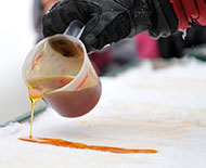 Carnaval d'hiver de Hampstead - photographe Denis Beaumont